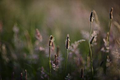 《方块方舟》Steam夏促史低27元，2021夏季运动会新版上线